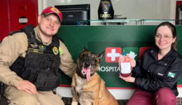 Cão policial faz doação de sangue para salvar cadela atropelada