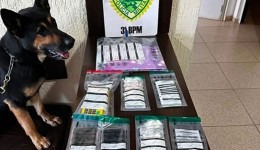 Homem é preso por tráfico de drogas durante operação da PM