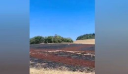 Fogo em cabos da rede elétrica provoca incêndio em lavoura