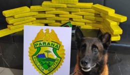 Mulher é presa com mais de 25 quilos de maconha em ônibus interestadual