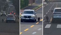 Motorista dirige carro com cachorro preso do lado de fora pela coleira