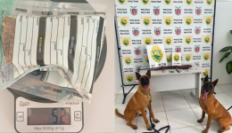 Ação integrada cumpre mandados e apreende armas e drogas na cidade