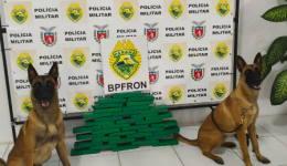 Cães do BPFRON encontram droga escondida em ônibus durante fiscalização