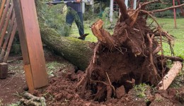 Equipes da Prefeitura seguem mobilizadas após temporal