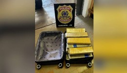 Mulher é presa no aeroporto de cascavel com 25 kg de maconha a caminho de Fortaleza