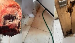 Vigilância Sanitária intensifica fiscalização e já soma 63 processos