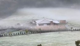 Paraná pode chegar a 1ºC e ter geadas ao longo da semana; veja previsão do tempo