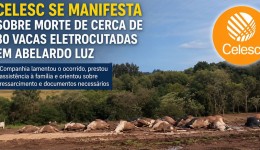 Companhia elétrica de Santa Catarina se manifesta sobre caso de animais mortos