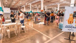 Mais 39 animais ganham um novo lar