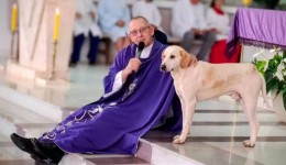 “Cãoroinha?”: cachorro vira presença nas missas e encanta fiéis no Paraná