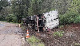 Caminhão carregado com alimentos tomba na PR-481 e motorista é socorrido