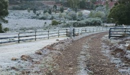 Palmas registra -3,5°C e amanhece coberta por geada nesta quarta-feira (08)