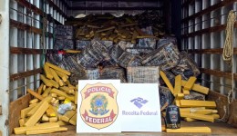 Polícia Rodoviária, PF e Receita Federal apreendem caminhão de leite que transportava quase 6 toneladas de maconha