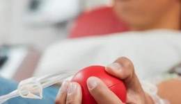 Município aprova lei que permite converter multas leves em doação de sangue e medula óssea