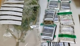 Patrulha Rural prende suspeito por tráfico de drogas no interior