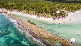 Barulho de barco e de turistas afeta comunicação de peixes, diz estudo