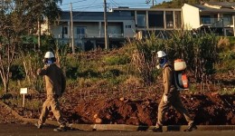 Município  registra 828 notificações e 17 casos confirmados de dengue em 2026