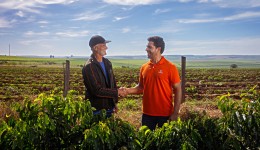 Cresol antecipa recursos do Plano Safra para produtor se planejar no campo