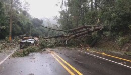 Defesa Civil confirma terceira morte por causa da chuva que atinge o RS; uma pessoa está desaparecida