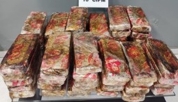 ROTAM apreende mais de 41 quilos de maconha em ônibus na rodoviária
