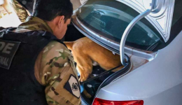 Polícia desmonta megaesquema do tráfico e prende 25 suspeitos em operação interestadual