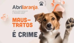 Abril Laranja: ações de conscientização contra maus-tratos a animais são realizadas
