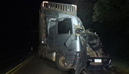 Caminhão de Francisco Beltrão se envolve em acidente na PRC-466