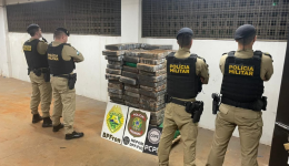 Forças de segurança encontram tonelada de maconha escondida em mata