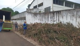 Prefeitura intensifica poda e trituração de galhos