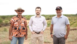 Cresol lidera operações do BNDES para pessoas físicas em 2025 