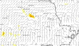 Confira as cidades do Paraná que registraram rajadas de vento acima de 50 km/h