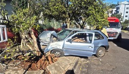 Homem fica ferido após colidir carro em árvore