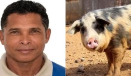 Homem morre após ser atacado por porco em área rural de Parauapebas