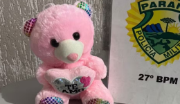 Mulher é presa após esconder crack dentro de ursinho de pelúcia