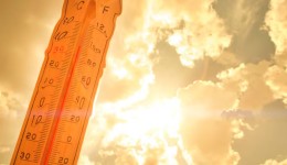 Duas crianças são encontradas mortas dentro de carro durante onda de calor na França