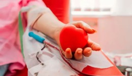 Hemonúcleo faz apelo urgente por doadores de sangue O+