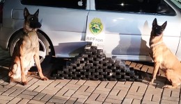 BPFRON apreende 54kg de maconha e prende jovem de 23 anos em Barracão