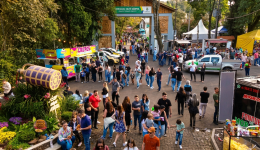30ª Festa do Vinho e do Queijo começa nesta sexta-feira