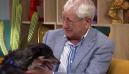 Idoso de 80 anos emociona ao se despedir do cachorro por não conseguir mais cuidar dele