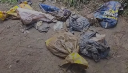 Dezenas de cães mortos são encontrados dentro de sacos de lixo em Lages