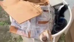 Cachorro é encontrado preso em caixa dentro de lixo em Guarapuava