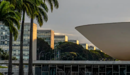 Nikolas Ferreira e Lucas Pavanato são os deputados federais mais votados nas eleições de 2026