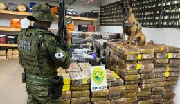 PMPR apreende 1,5 tonelada de maconha escondida em área de mataPMPR apreende 1,5 tonelada de maconha escondida em área de mata