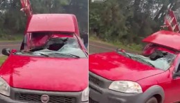 Árvore cai sobre carro durante vendaval na PR-473