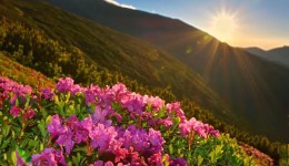 Primavera começa amanhã com El Niño forte; veja o que esperar