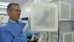 Brasileiro criador do “Aedes” que bloqueia dengue é eleito pela Nature
