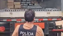 Polícia Civil recupera 17 toneladas de carne roubada avaliada em R$ 700 mil e prende quatro suspeitos no Paraná