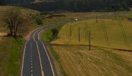 EPR Iguaçu inicia processo de regularização de plantios em faixa de domínio no Oeste e Sudoeste do Paraná