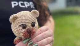 Foragido condenado a 51 anos por estupro de vulnerável é preso