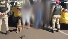 Operação policial na PR-182 apreende arma e cumpre mandado de prisão